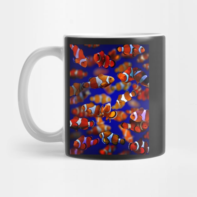 Clown Fish by MaxencePierrard